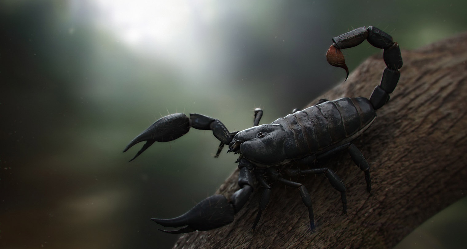 Black Scorpion Wallpaper Hd - 1520x810 Wallpaper - teahub.io