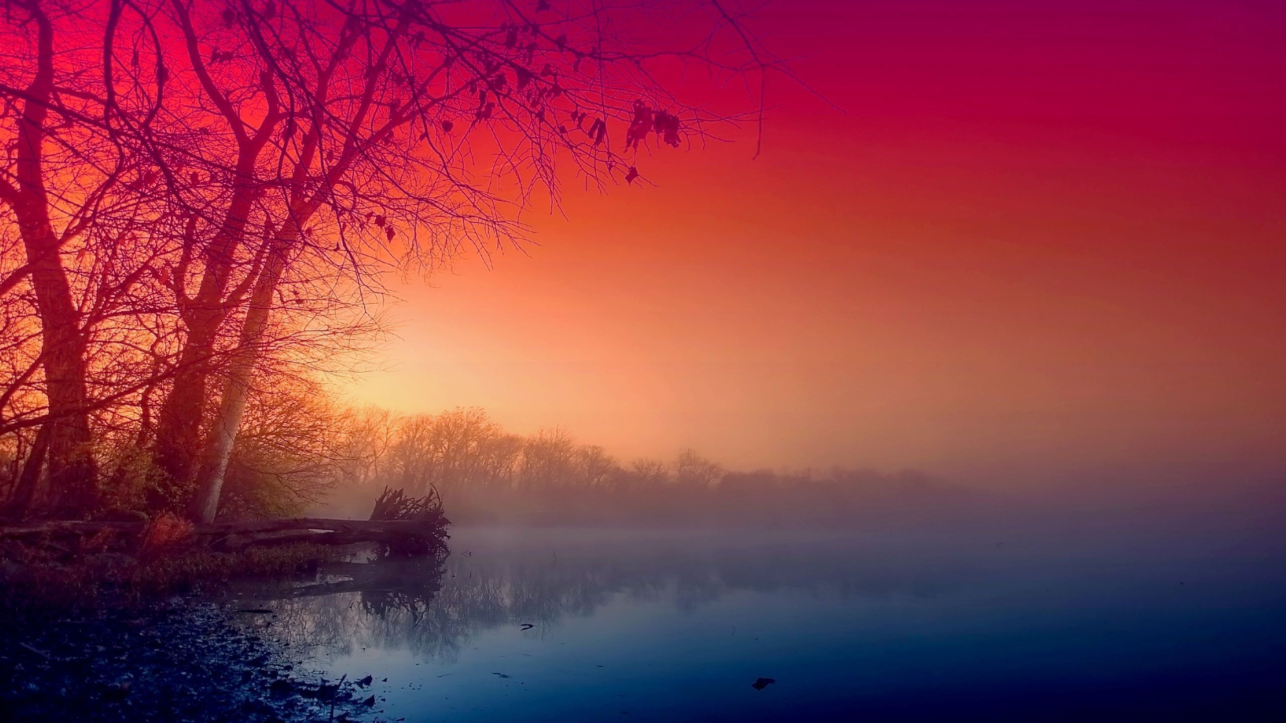 Beautiful Fog Wallpaper Hd - HD Wallpaper 