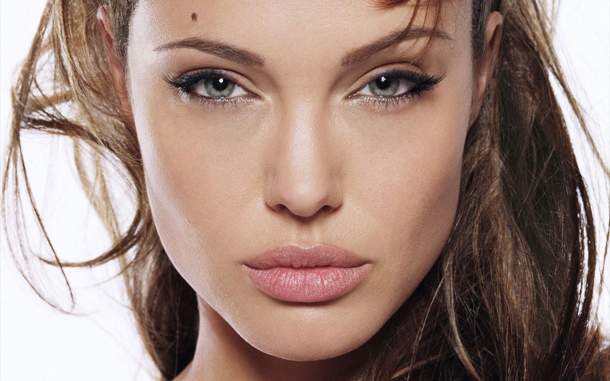 Angelina Jolie - HD Wallpaper 