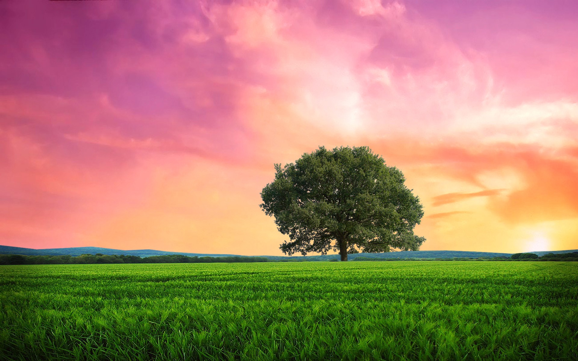 Sunrise Wallpaper 7405 
 Src Full Size Sunrise Wallpaper - Apple Tree On A Hill - HD Wallpaper 