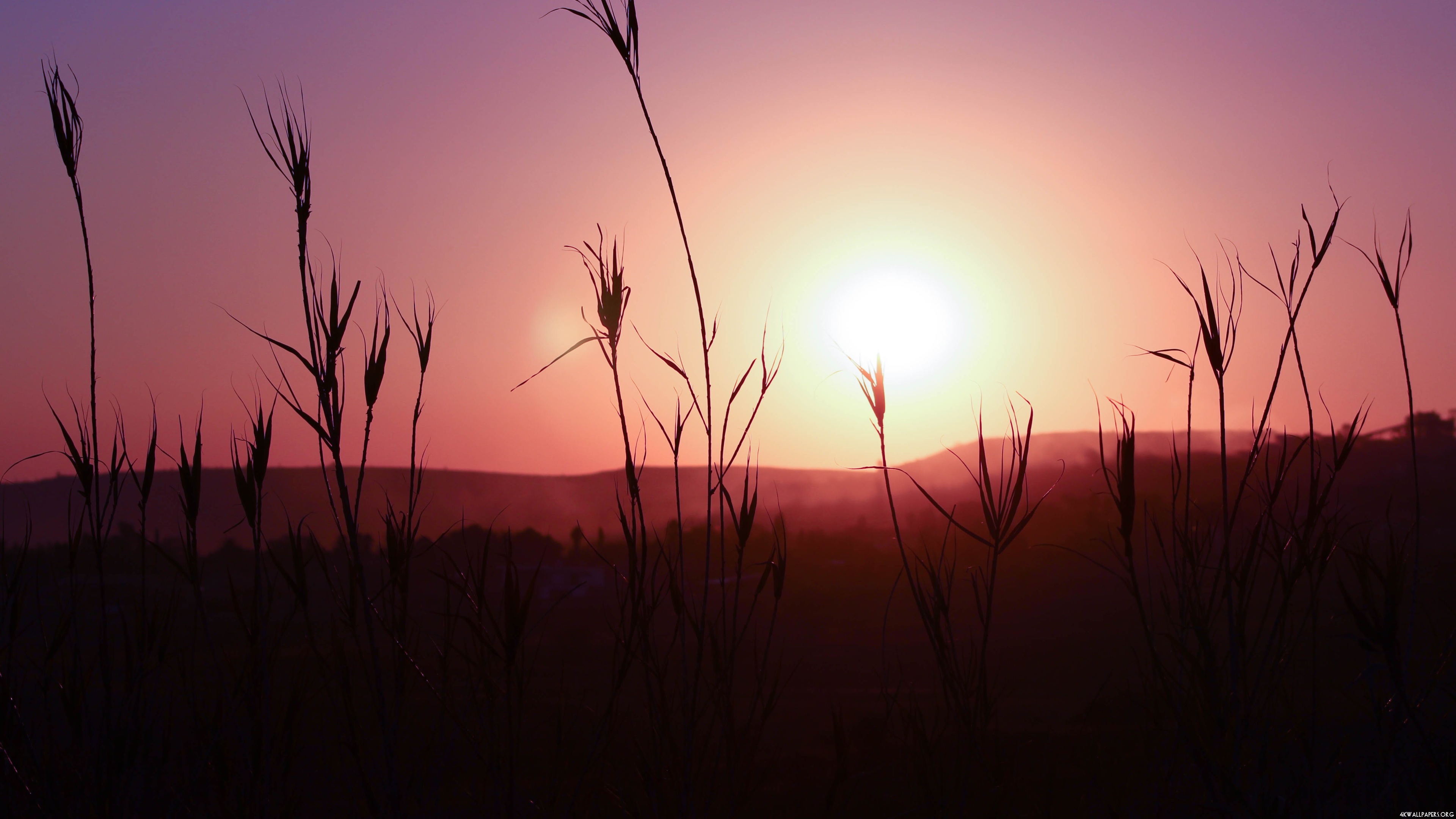 Sunshine Wallpaper - Sunshine 4k - 3840x2160 Wallpaper Sunshine Wallpaper - Sunshine 4k - 3840x2160 Wallpaper