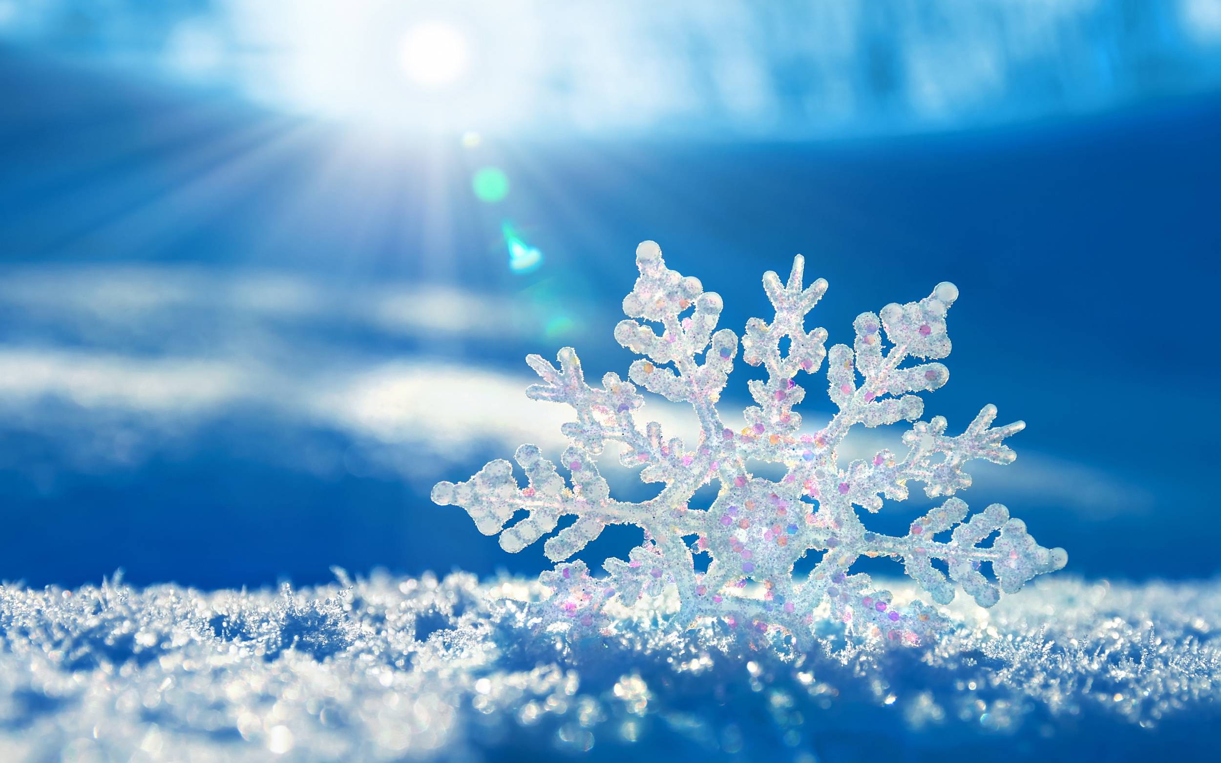 Sunshine Wallpaper Desktop Download For Free - Winter Magic - HD Wallpaper 