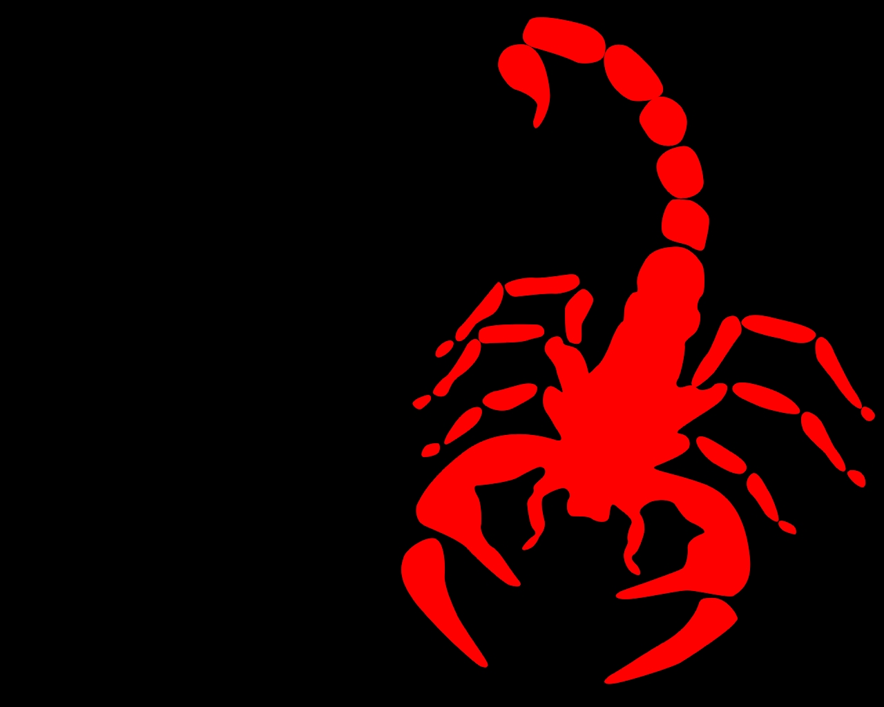 Scorpion Animal Wallpaper Hd - 1280x1024 Wallpaper Scorpion Animal Wallpaper Hd - 1280x1024 Wallpaper