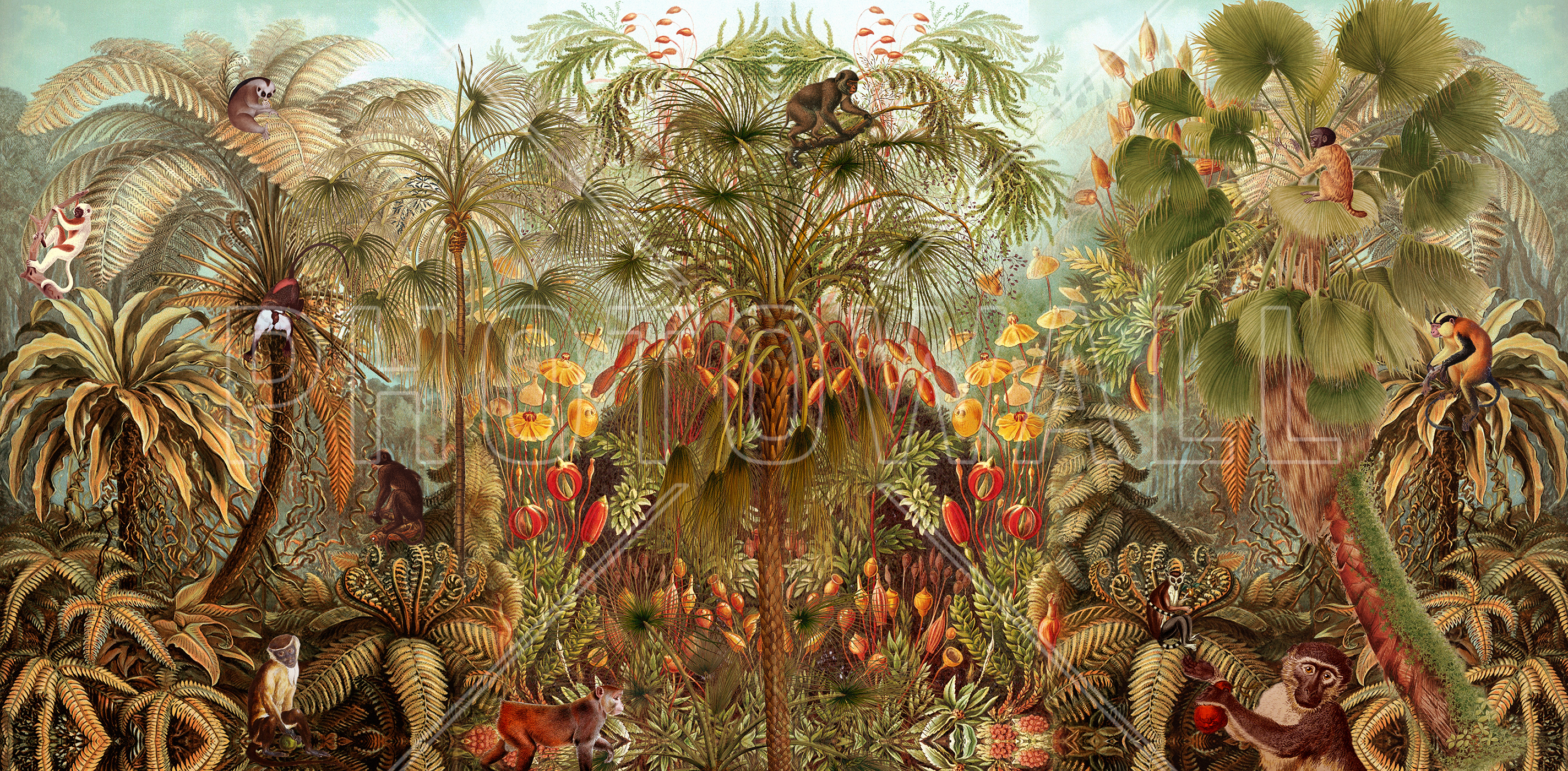 Monkey See Monkey Wah - Monkey See Monkey Photowall - HD Wallpaper 