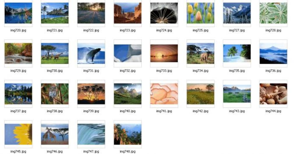 Windows Vista Starter Wallpapers - Windows Vista Starter - HD Wallpaper 