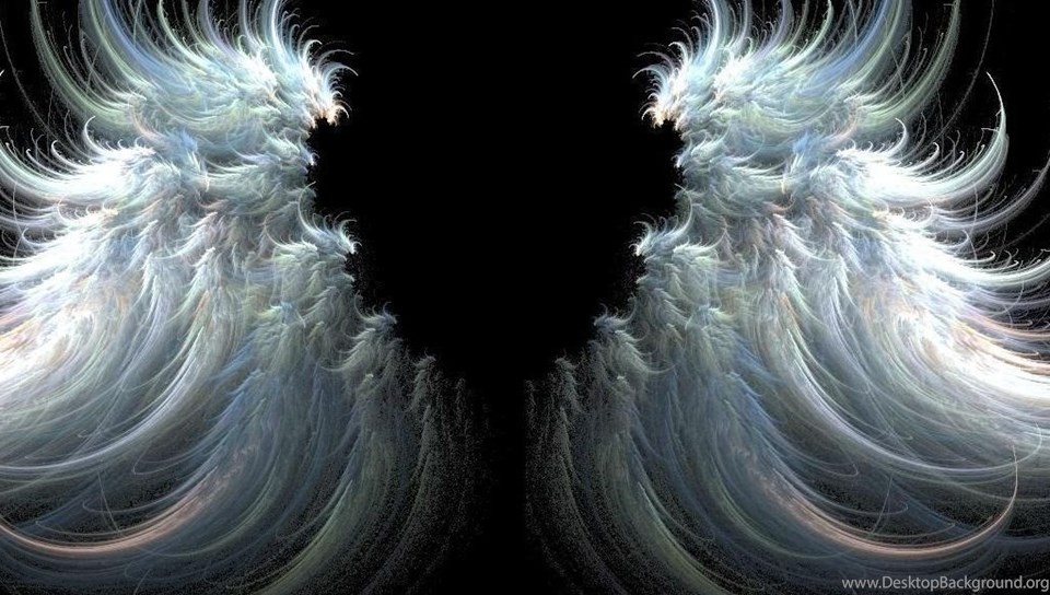 Top Open Angel Wings Wallpaper Images For Pinterest - Gerry Shephard Star Guitar - HD Wallpaper 