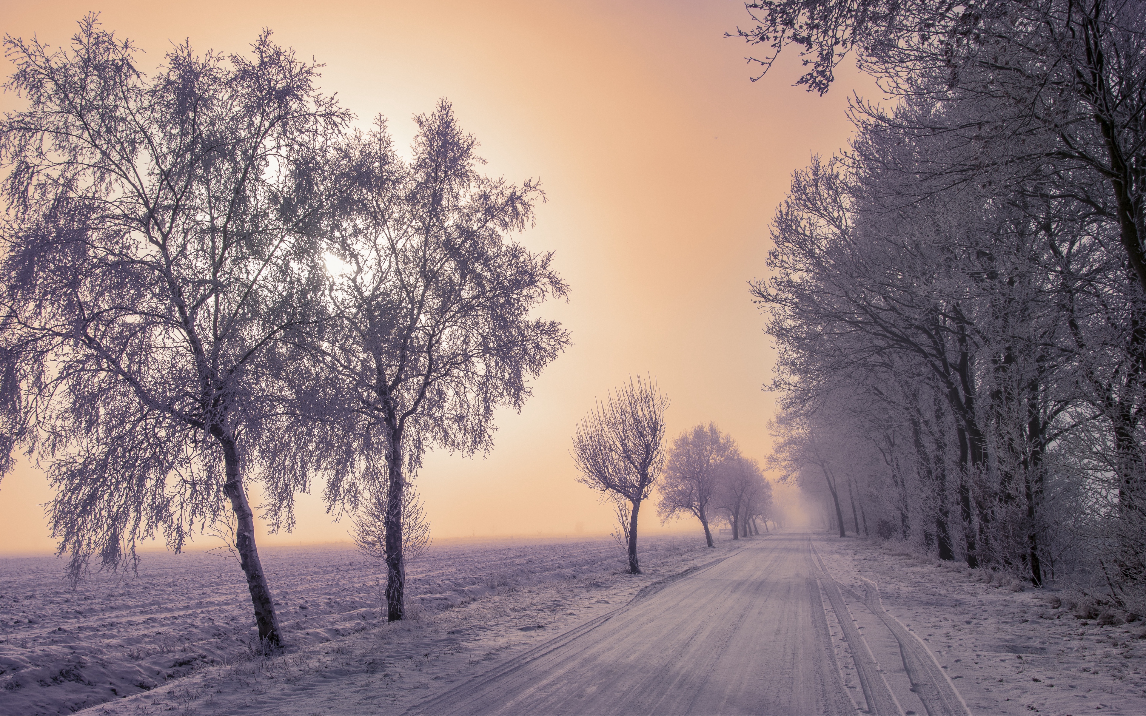 Wallpaper Winter, Road, Snow, Trees, Fog - Winter Road Wallpaper 4k - HD Wallpaper 
