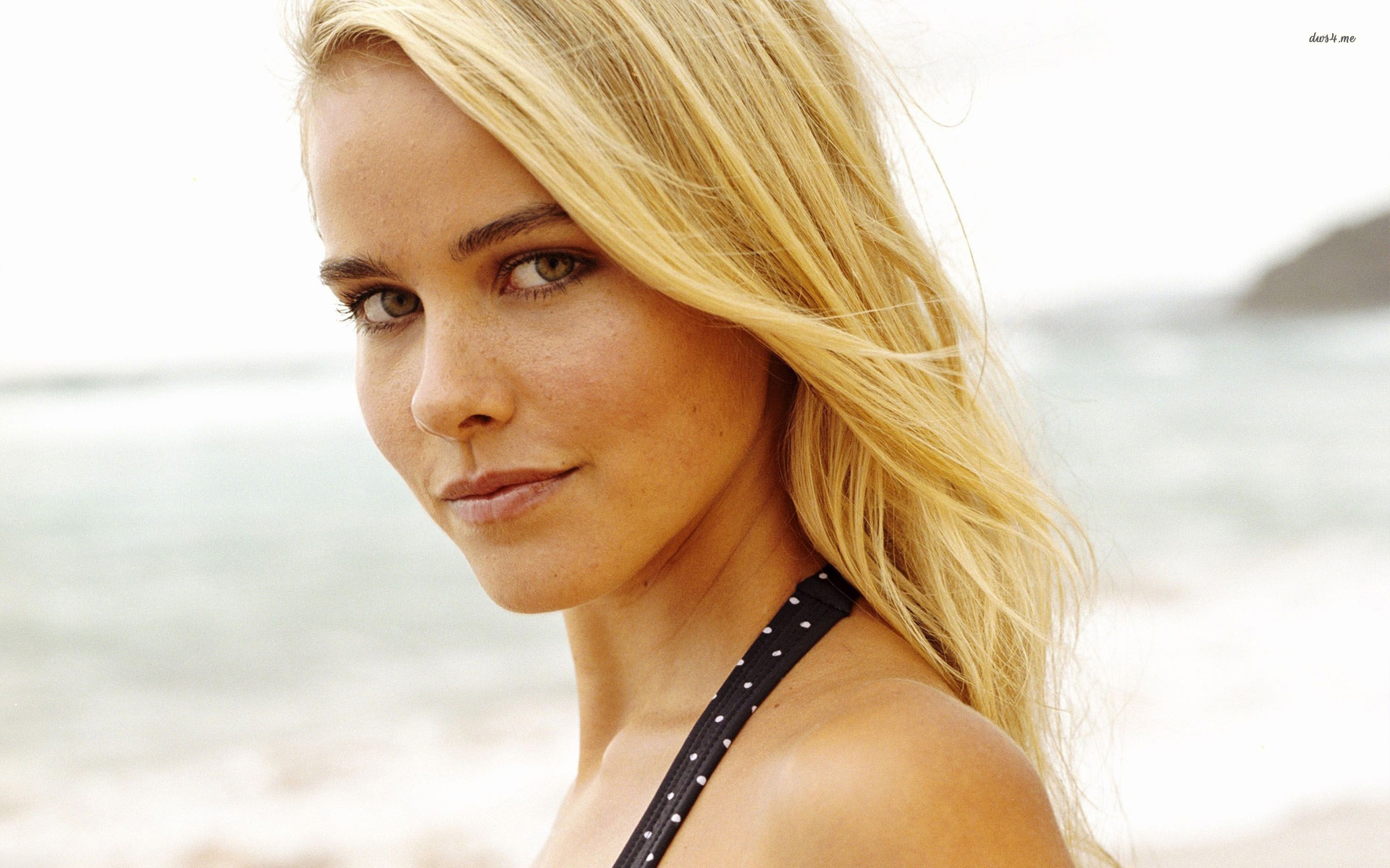 Photo Shoot - HD Wallpaper 