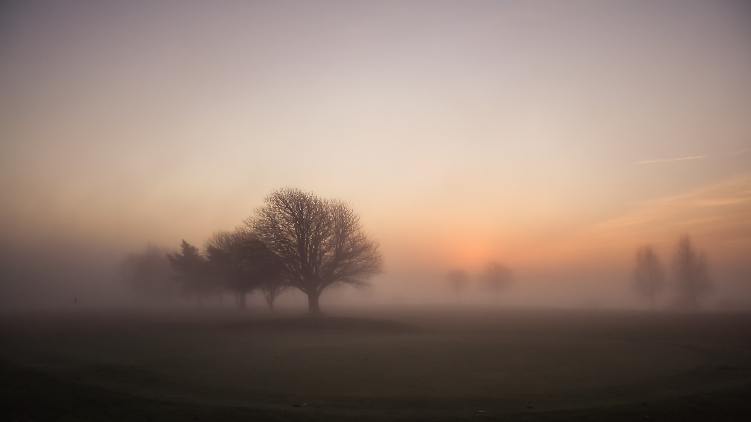 Wallpaper - Foggy Landscape Hd - HD Wallpaper 