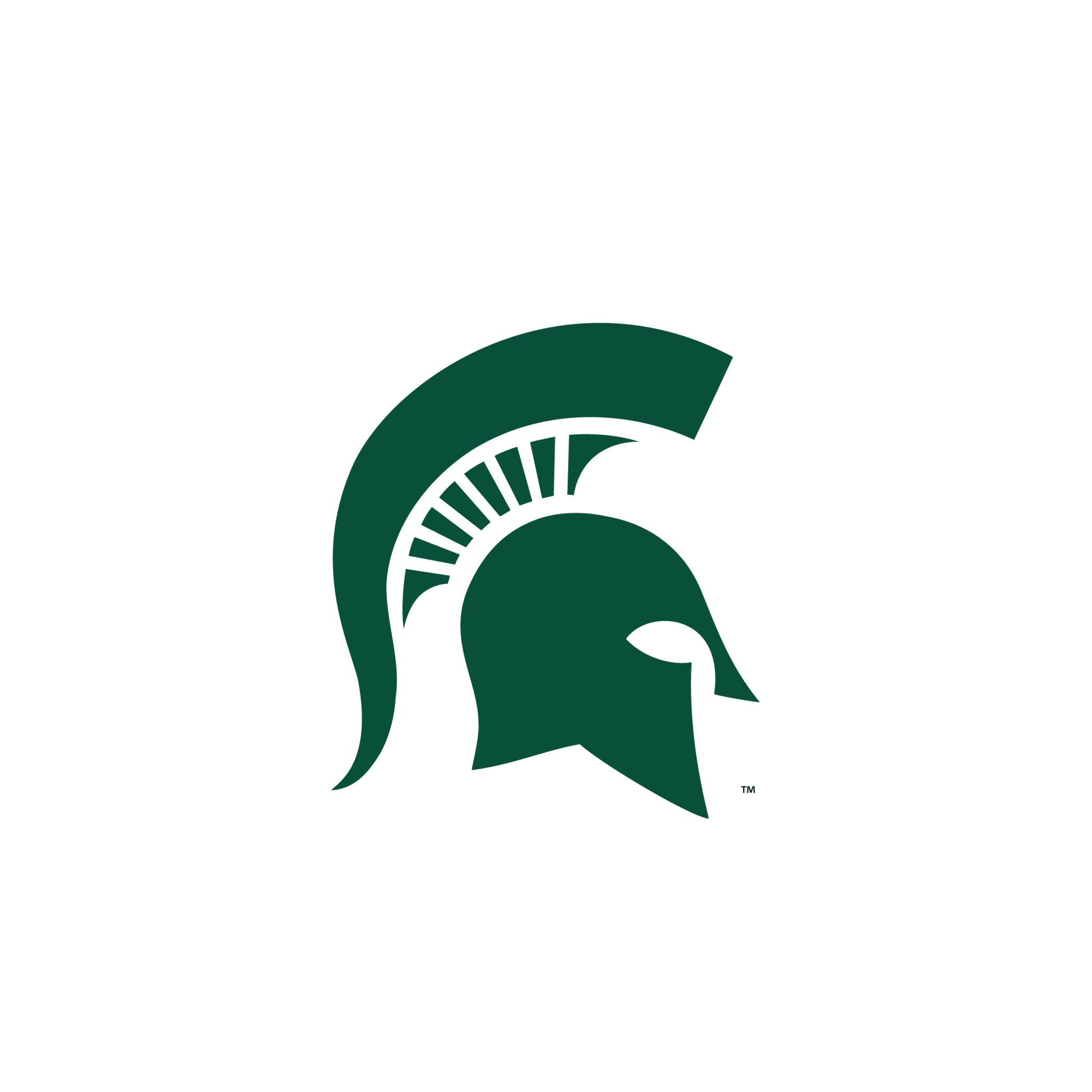 Michigan State Spartans Msufcu Credit Card 48x48 Wallpaper Teahub Io