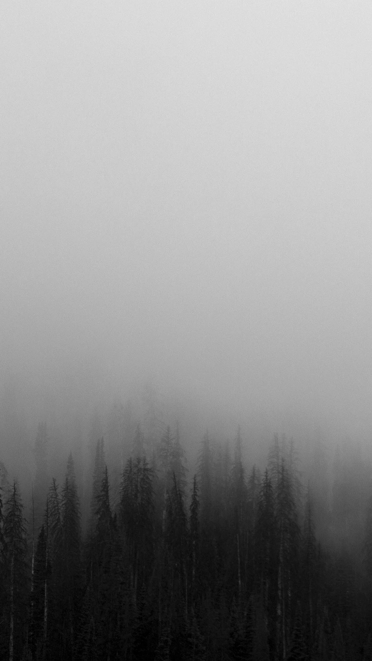 Fog Wallpaper Iphone - HD Wallpaper 