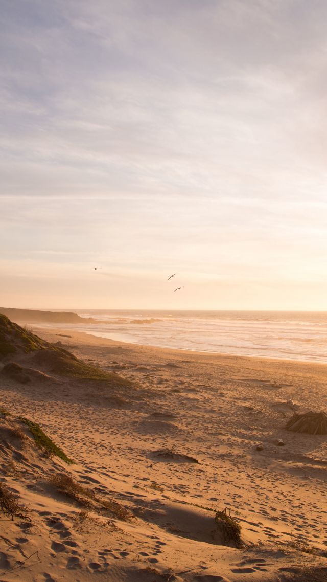 Beach, 5k, 4k Wallpaper, 8k, Ocean, Sunset - Calm And Quiet Quotes -  640x1138 Wallpaper 