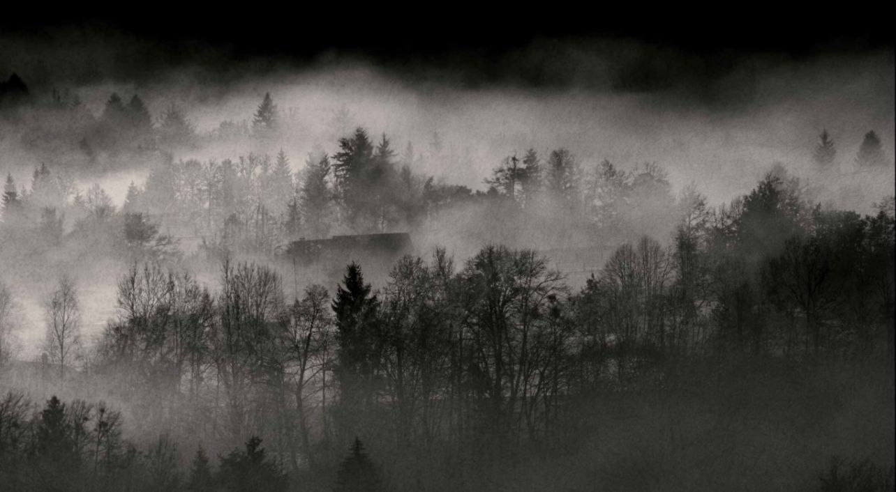 Black And White Nature Trees Forests Fog Wallpaper - Misty Backgrounds - 1284x706 Wallpaper Black And White Nature Trees Forests Fog Wallpaper - Misty Backgrounds - 1284x706 Wallpaper