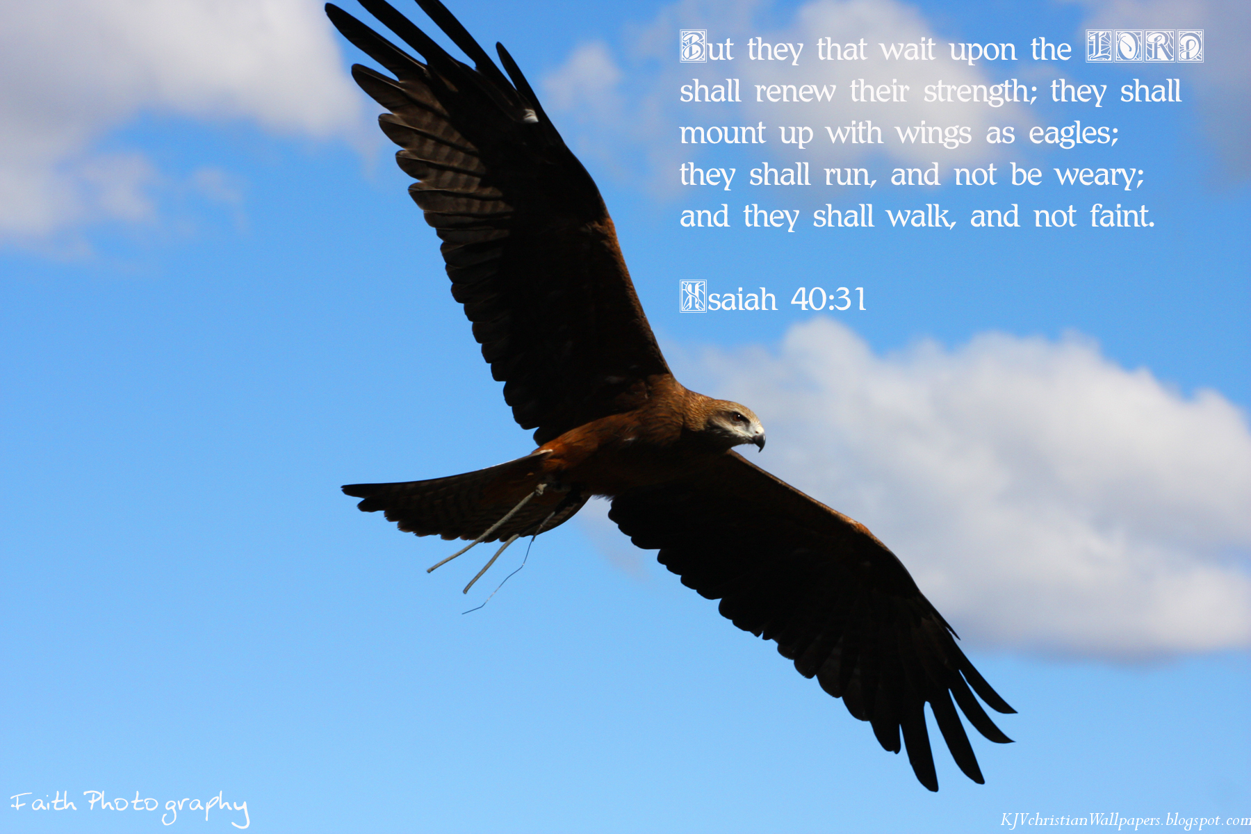 Jeremiah 29 11 Eagle - HD Wallpaper 