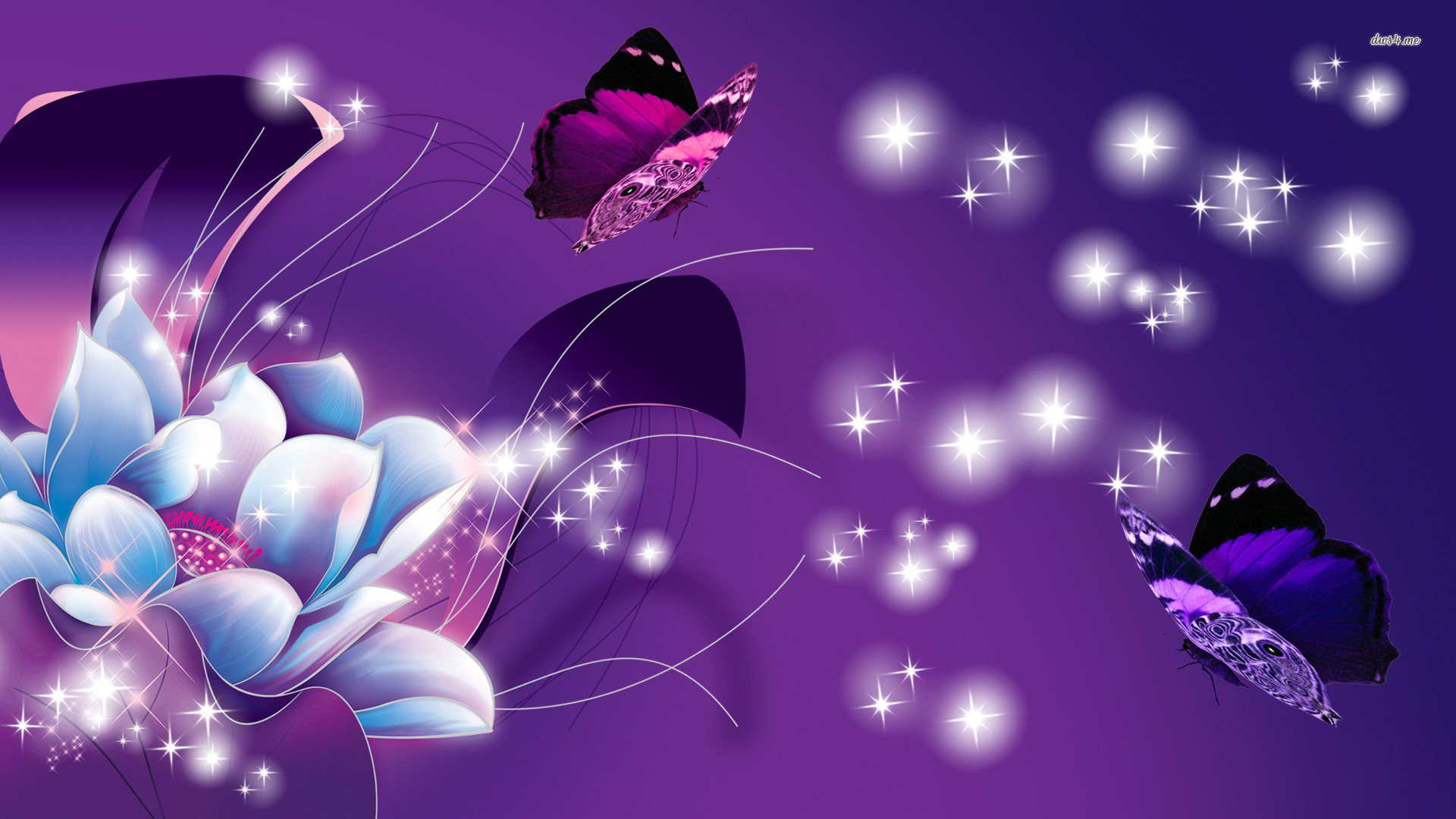Purple Flowers And Butterflies - HD Wallpaper 