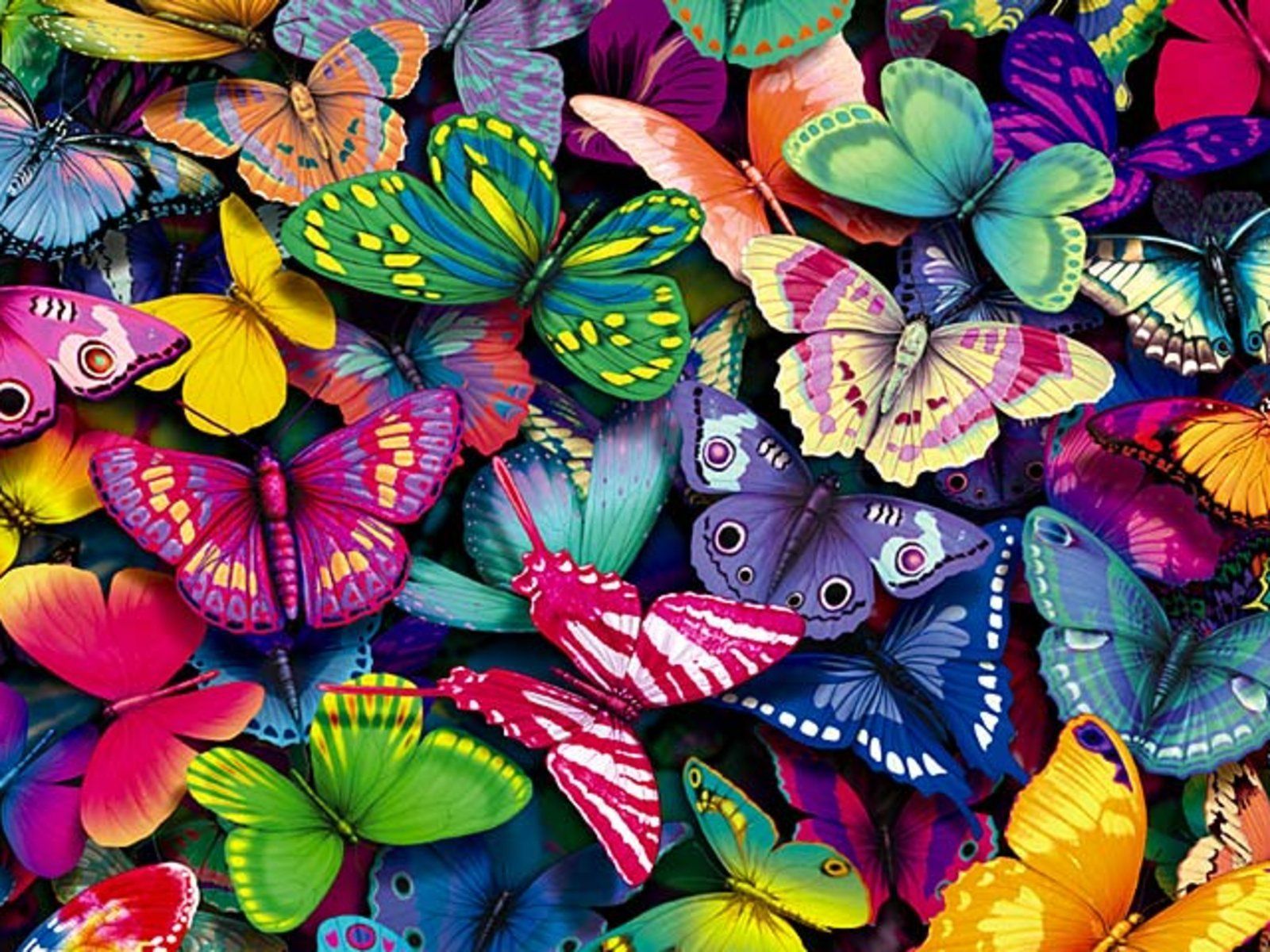 Butterfly High Definition Wallpaper Download, Tresa - Mariposas De Colores - HD Wallpaper 