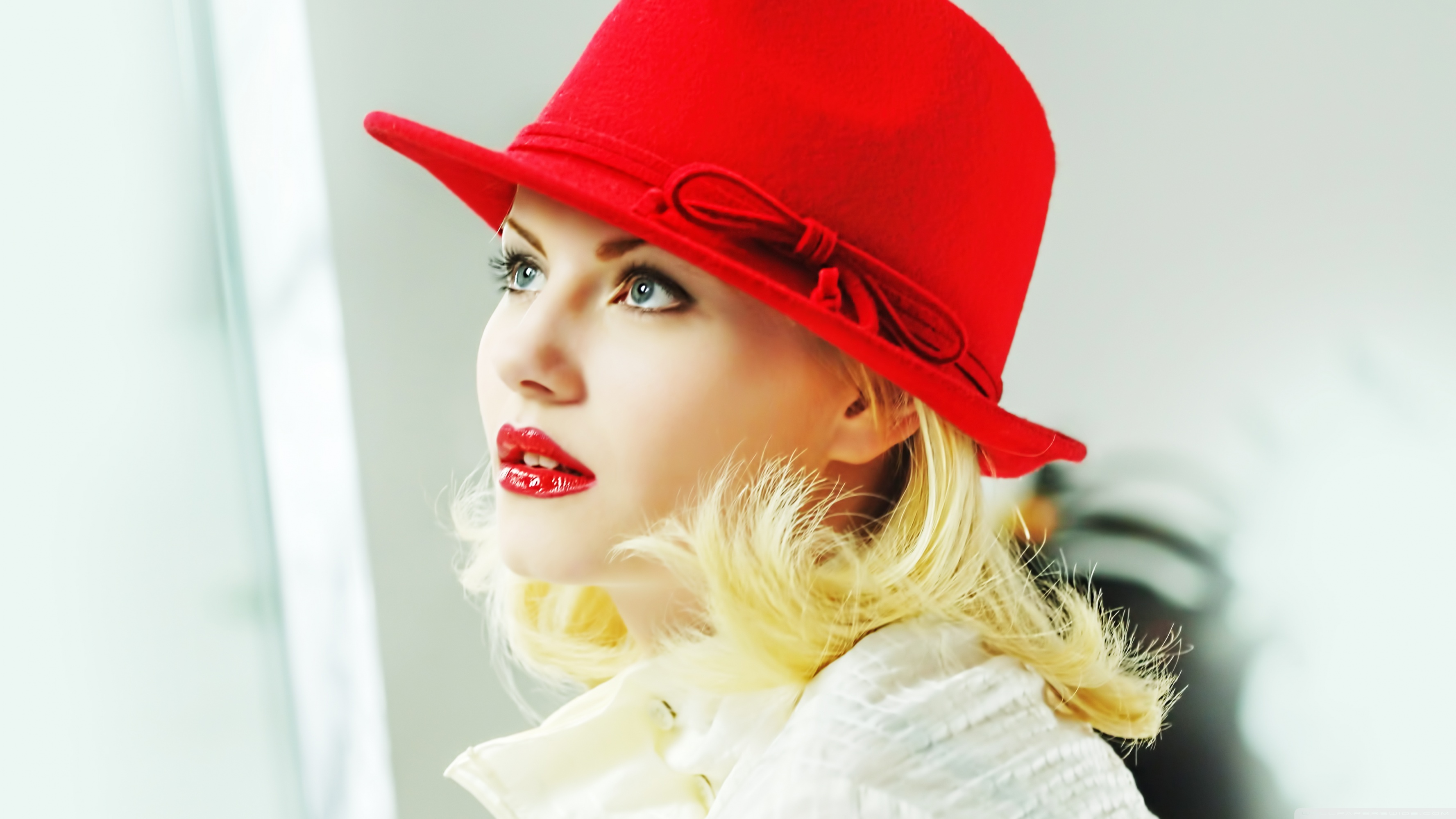 Hd Wallpaper Elisha Cuthbert - HD Wallpaper 