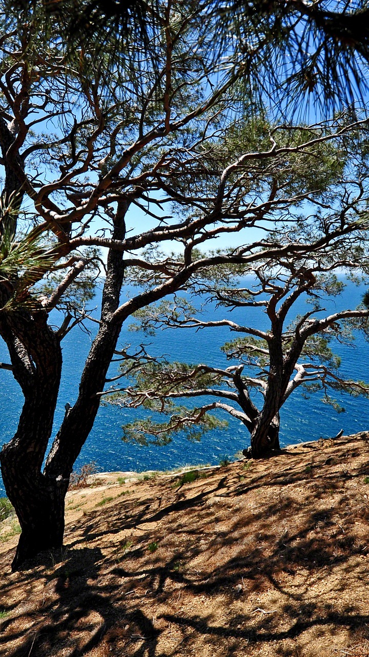 Wallpaper Hd Untuk Mudah Alih - Imagini De Fundal Pentru Telefon Hd - HD Wallpaper 