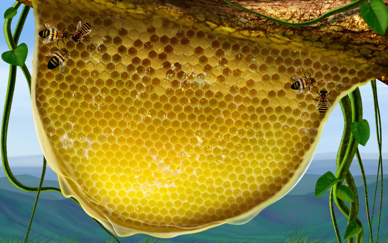Honeycomb Wallpapers - Honey Natural - HD Wallpaper 