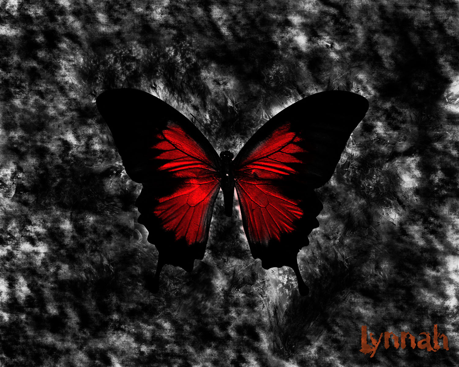 Black And Red Butterfly Wallpaper Mobile Is Cool Wallpapers - Red Butterfly With Black Background - HD Wallpaper 