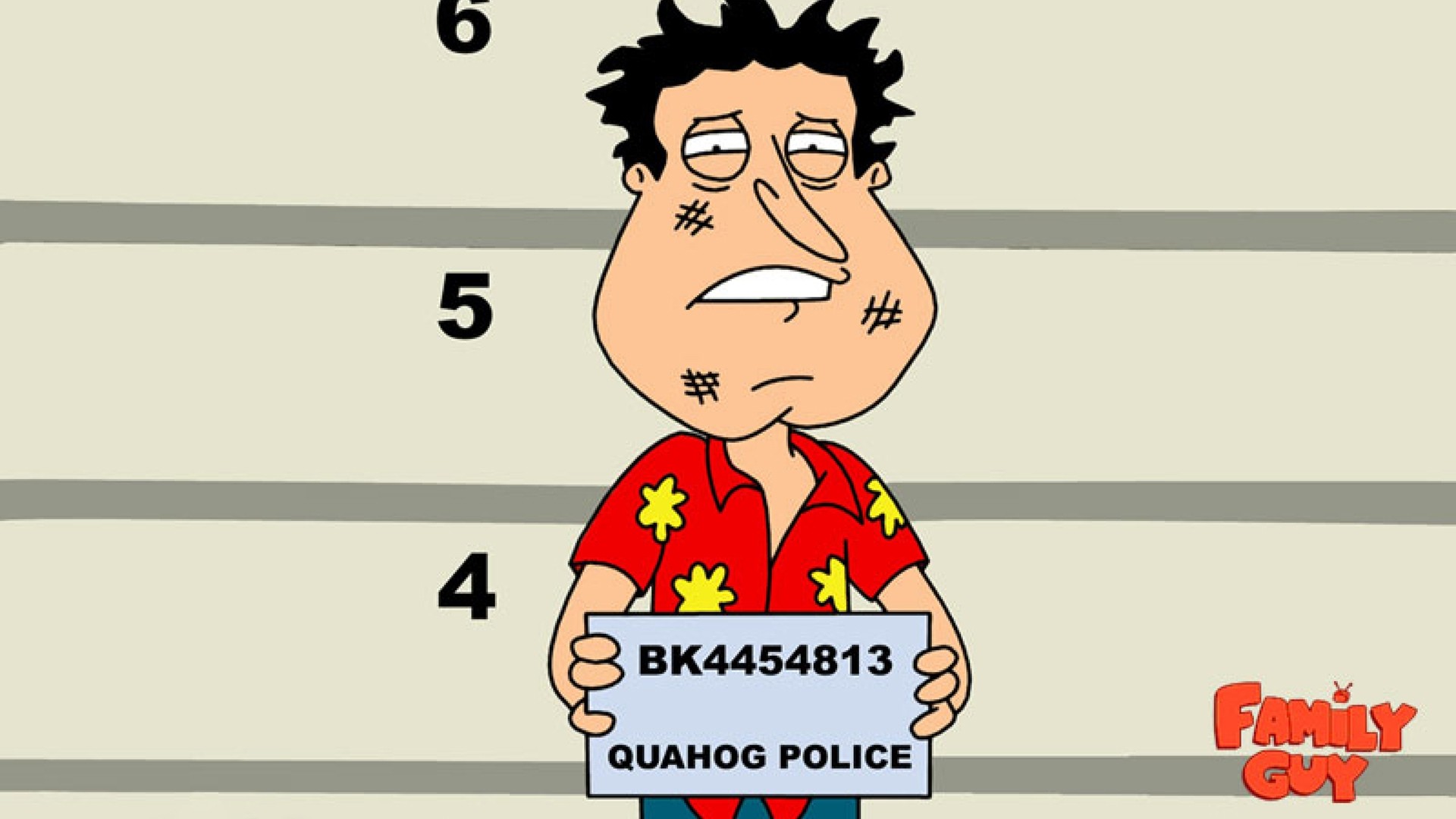 Family Guy Full View And Quagmire With Resolution 
 - Funny Family Guy - HD Wallpaper 