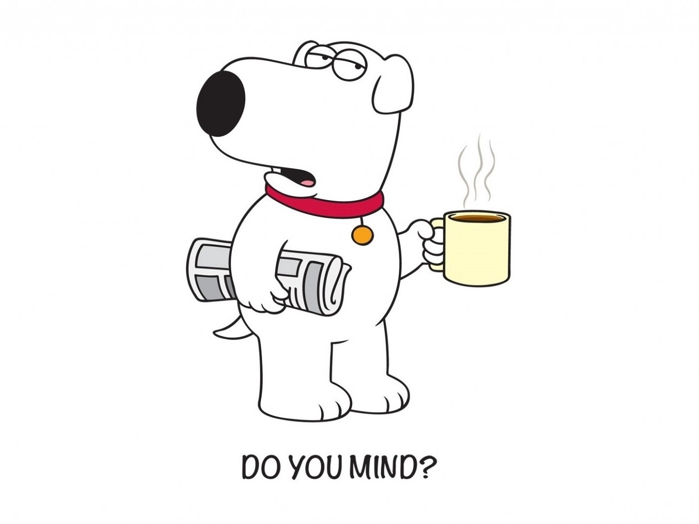 Wallpaper Family Guy, Brian, Griffin, Dog, Newspaper, - Phone Backgrounds Family Guy - HD Wallpaper 