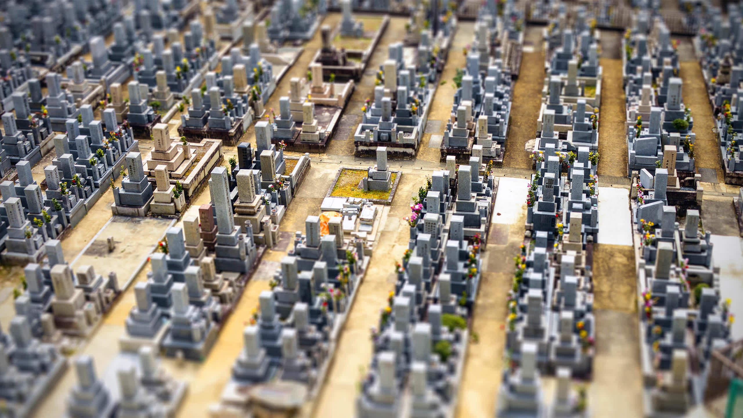 Scale Model - HD Wallpaper 