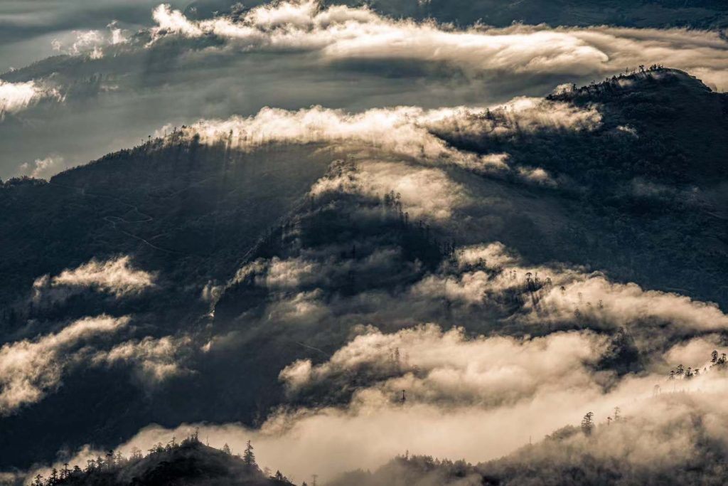 Sunlight - HD Wallpaper 