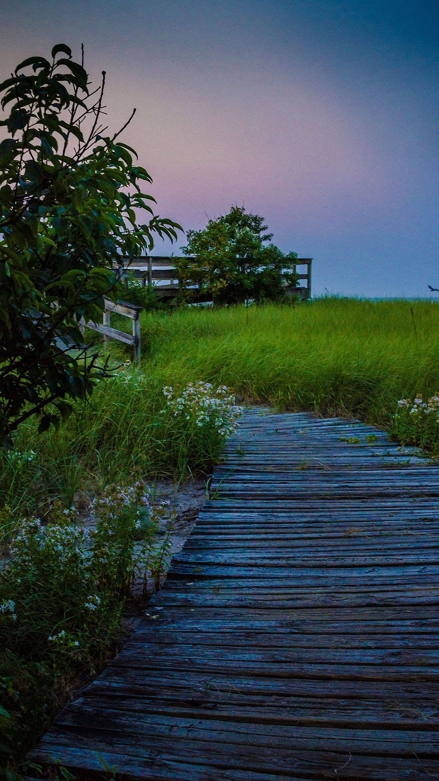 Hd Grass Road Lenovo Phones Wallpapers - Boardwalk - HD Wallpaper 