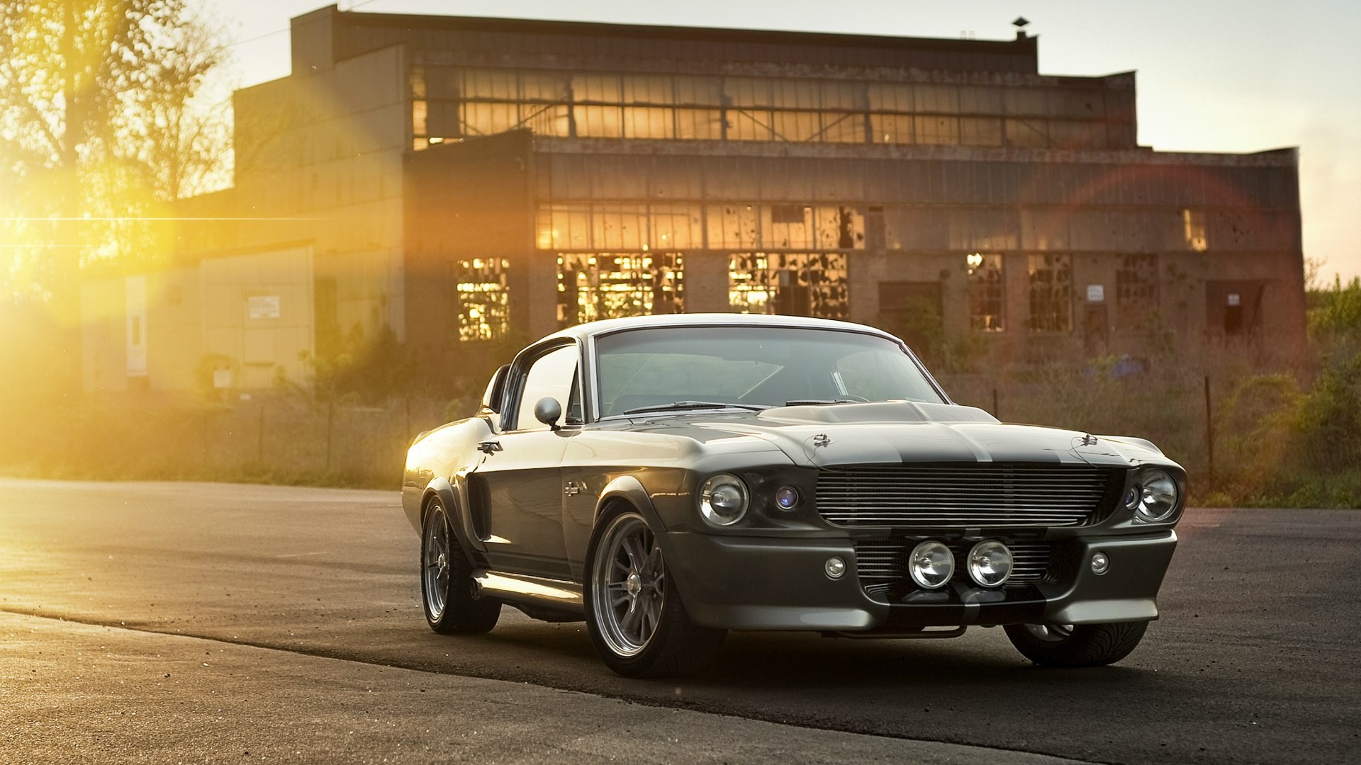 Shelby Gt 500 - HD Wallpaper 