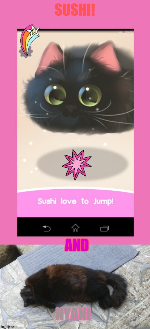 Sushi And Nyan(my Kitty) - Black Cat - HD Wallpaper 