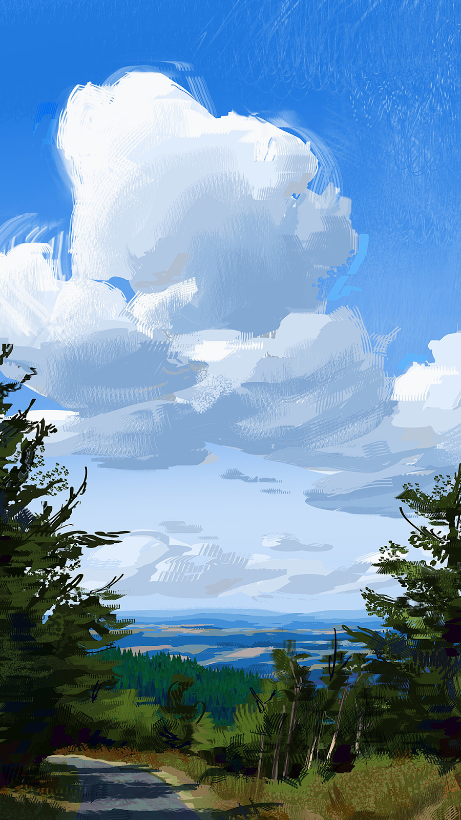 Shortleaf Black Spruce - HD Wallpaper 