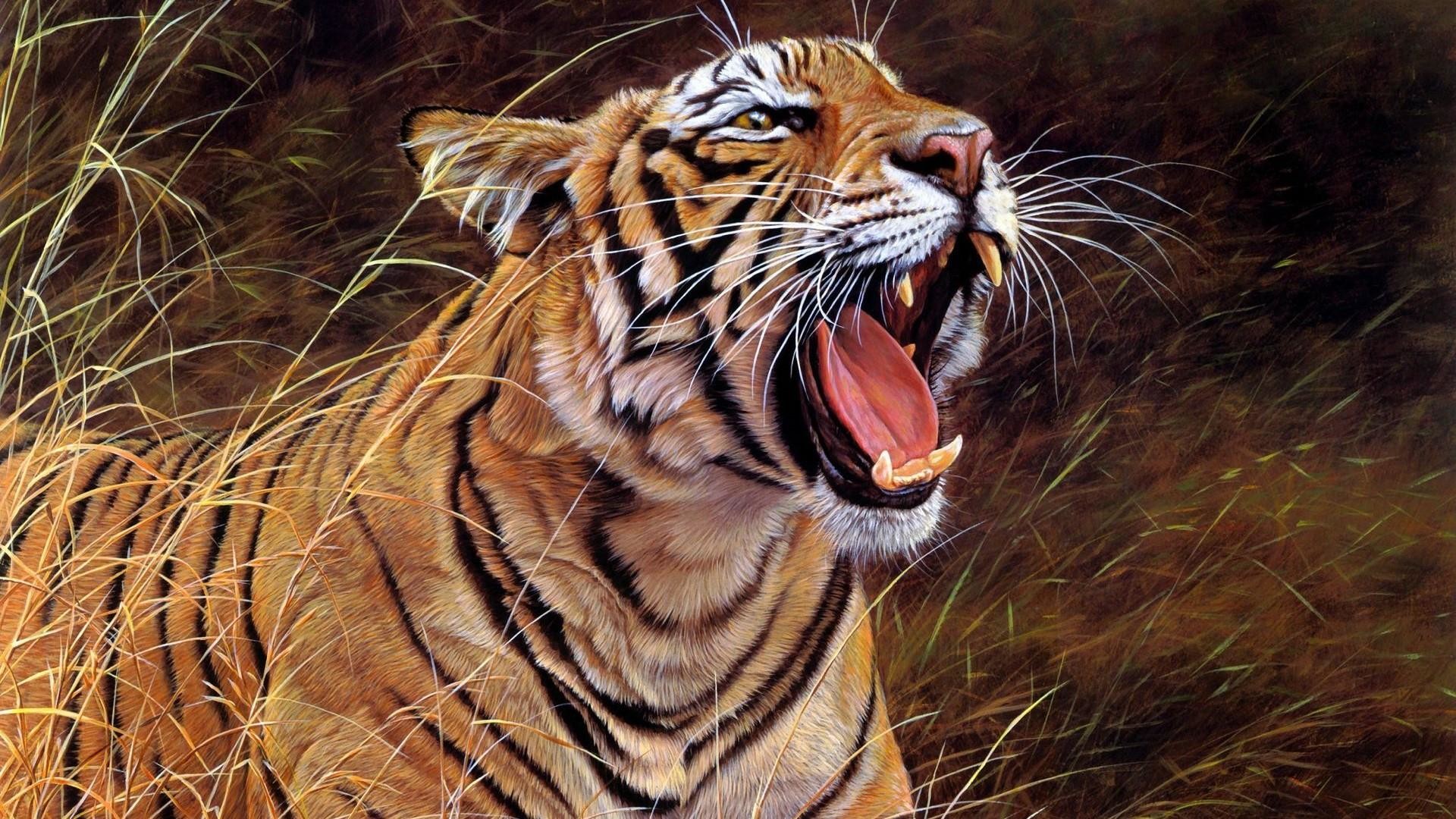 1920x1080, Bengal Tiger Roar Wallpaper - Roaring Tiger Images Hd - HD Wallpaper 