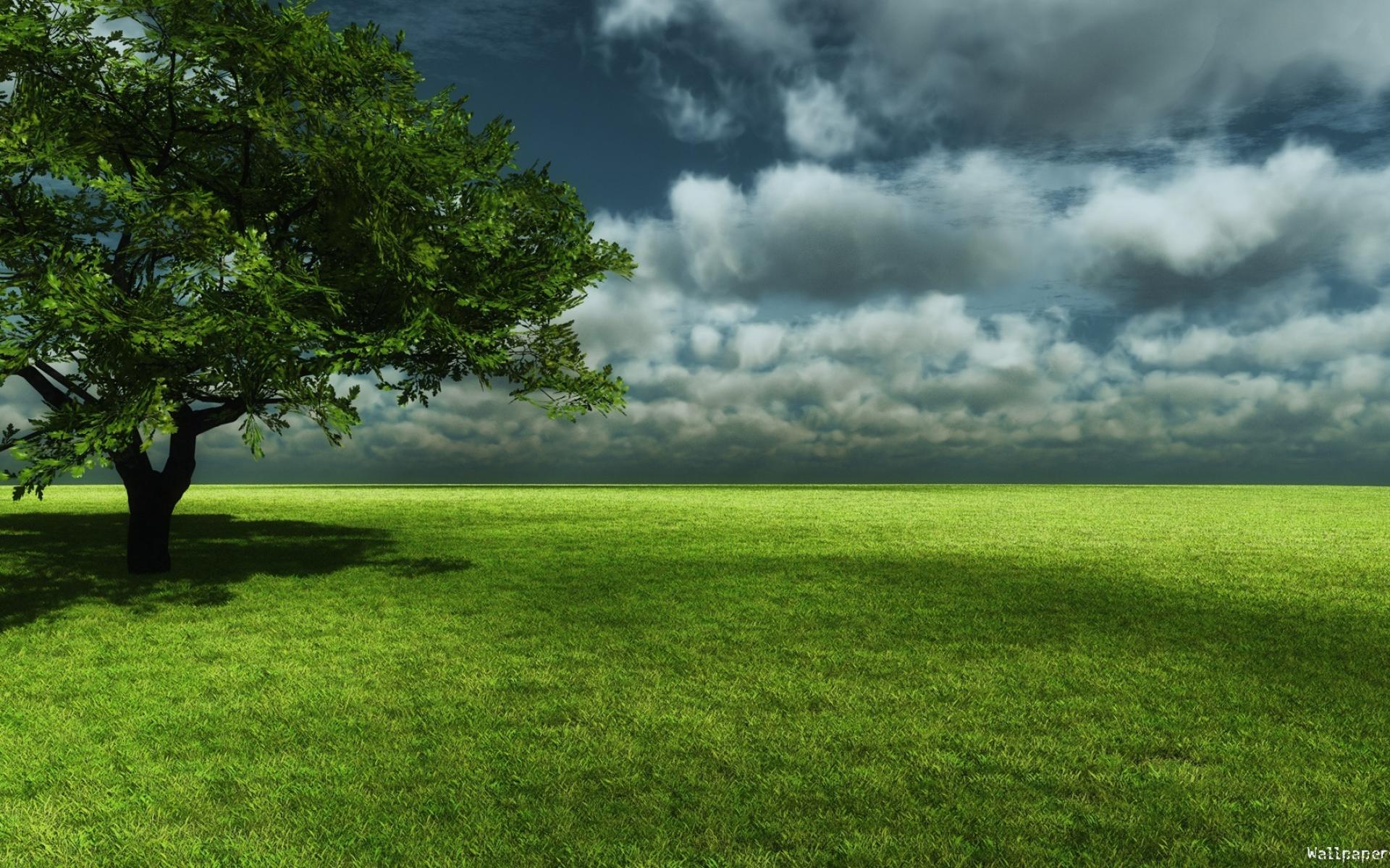 Sitting Under Tree Shade - HD Wallpaper 