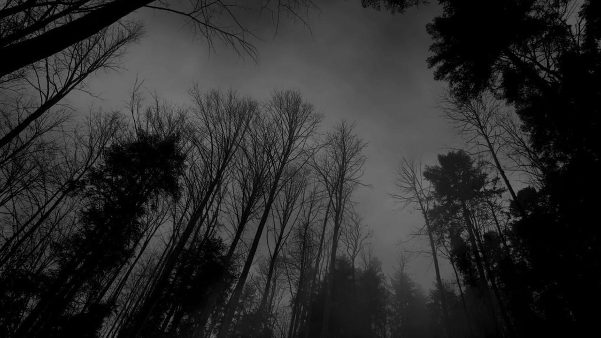 Black Hd Wallpapers 1080p For Laptop - 1280x720 Wallpaper Black Hd Wallpapers 1080p For Laptop - 1280x720 Wallpaper