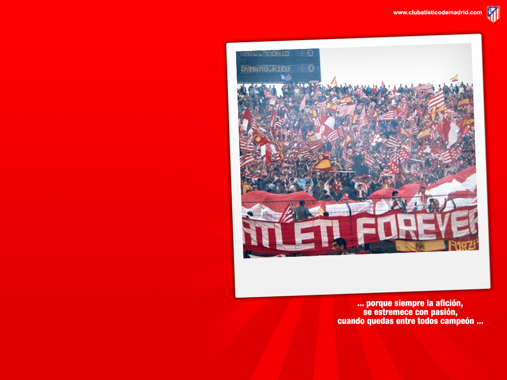 Atletico De Madrid - Atleti Forever - HD Wallpaper 