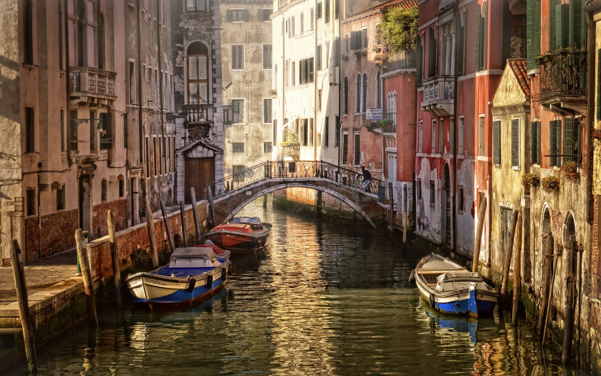 Diana Strong Download To Your Desktop, Nq-46, Venice, - Santi Giovanni E Paolo, Venice - HD Wallpaper 