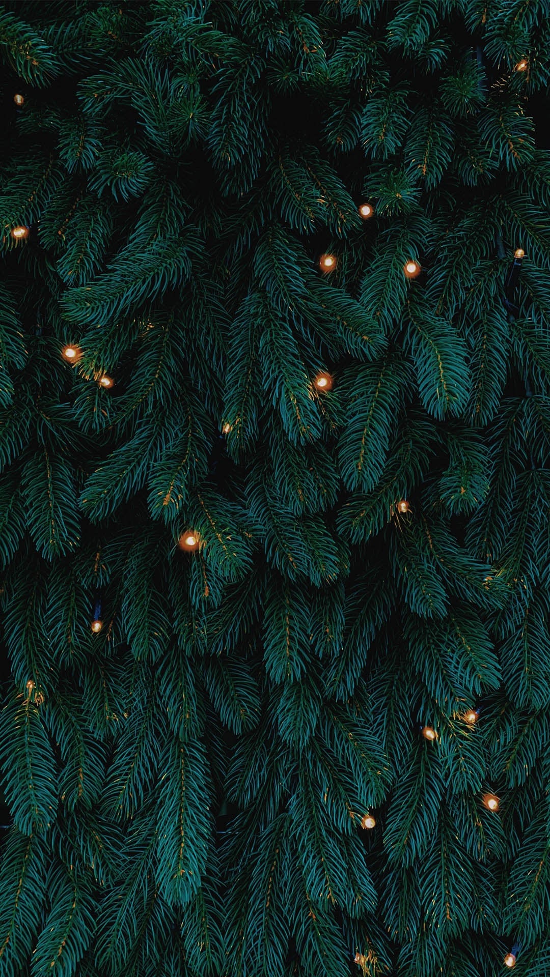 Los Mejores Fondos De Pantalla Para Tu Móvil - Christmas Tree - HD Wallpaper 