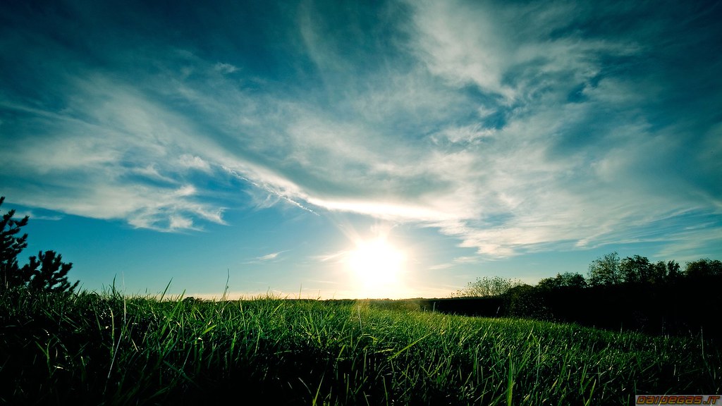 Grass Sunset Dark - HD Wallpaper 