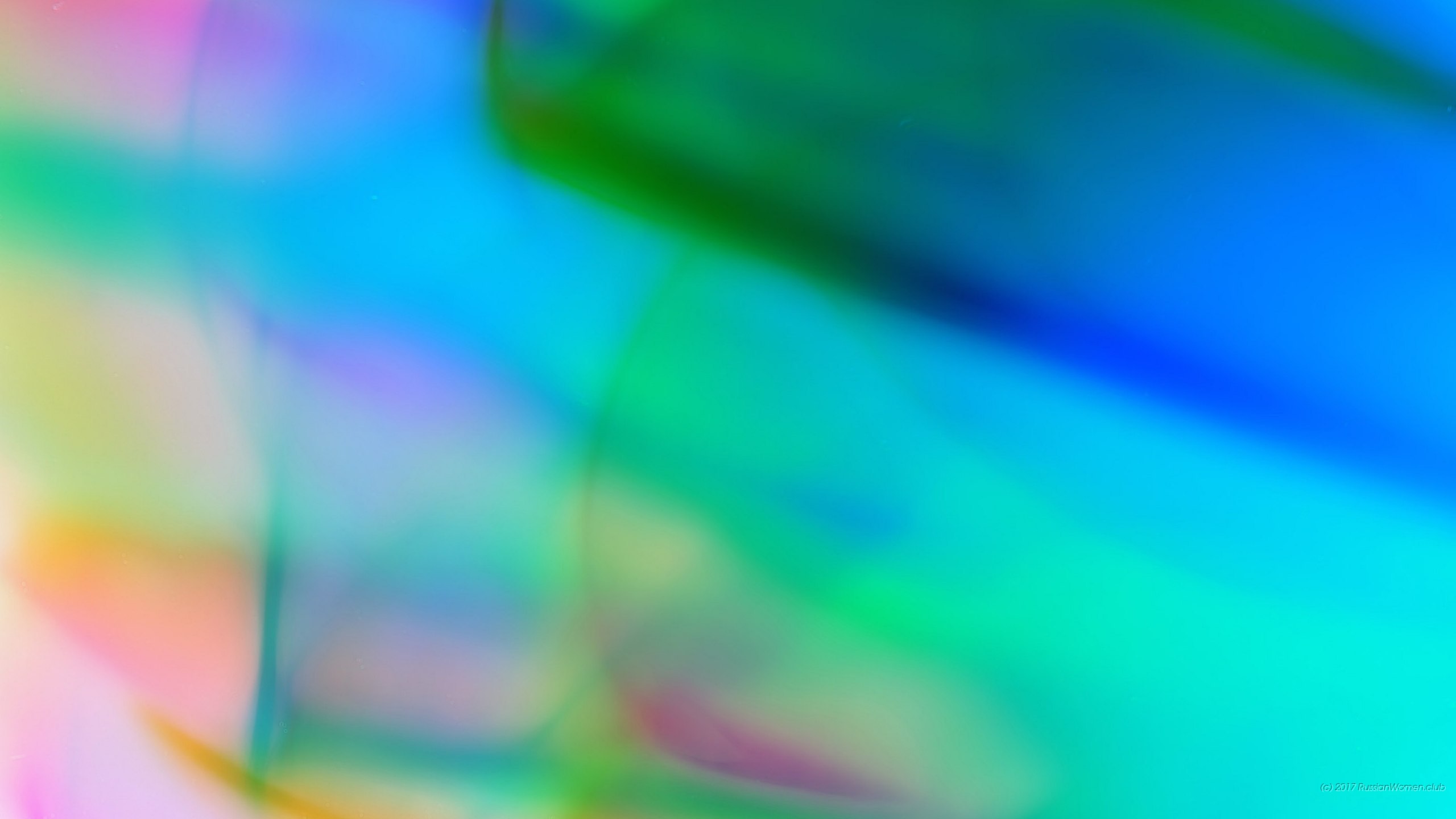 Sfondi Gratis Foto - Close-up - HD Wallpaper 