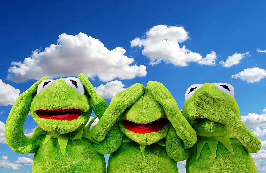 Kermit, Frog Wallpaper, Not Hear, Not See, Do Not Speak, - Nichts Sagen Nichts Hören Nichts Sehen Frösche - HD Wallpaper 