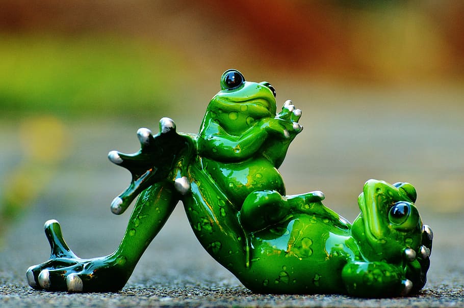 Mom, Child, Cute, Frog, Mom And Child, Frogs, Funny, - Beautiful Frogs - HD Wallpaper 