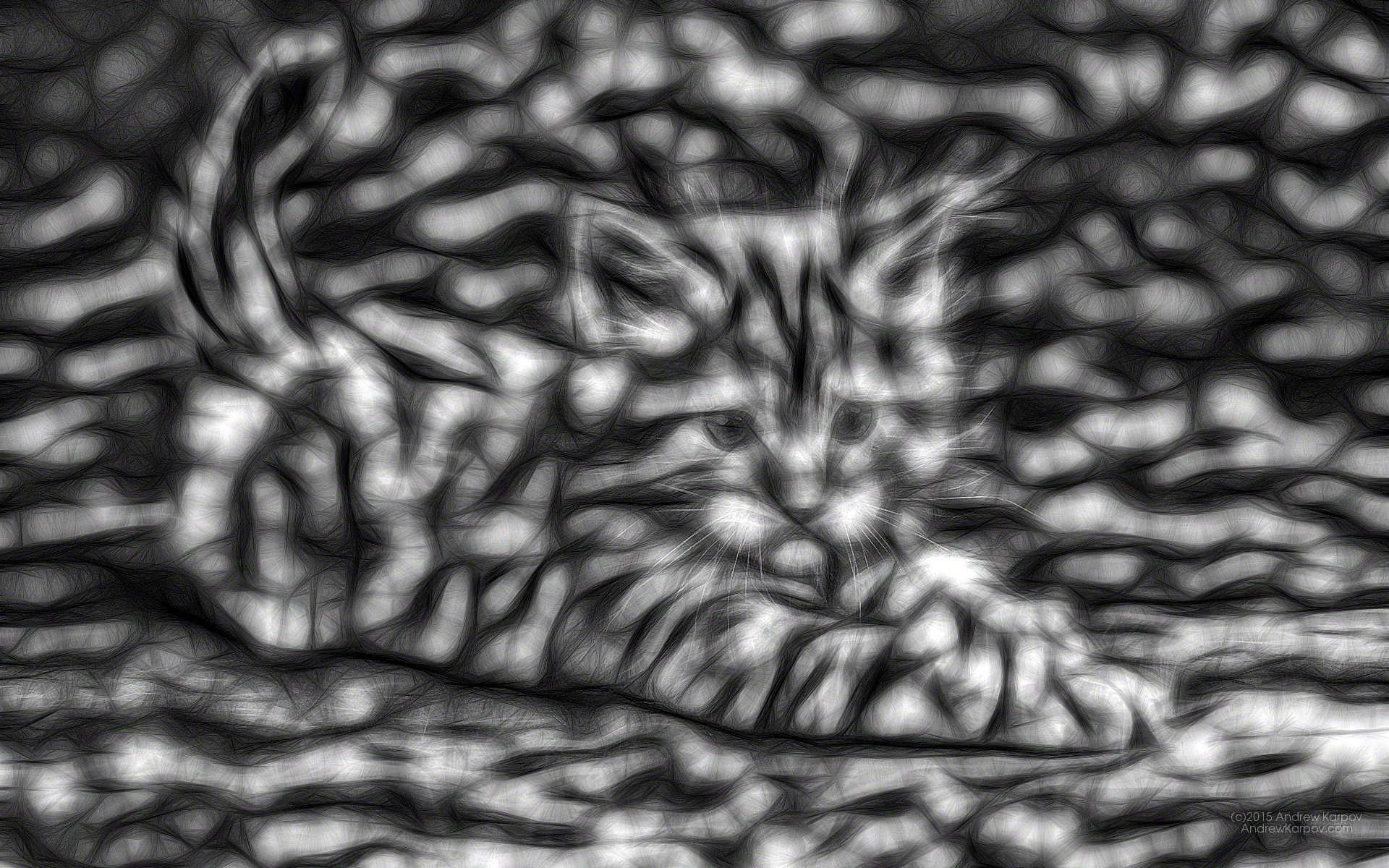 Sfondi Gratis Per Cellulare - Photograph - HD Wallpaper 