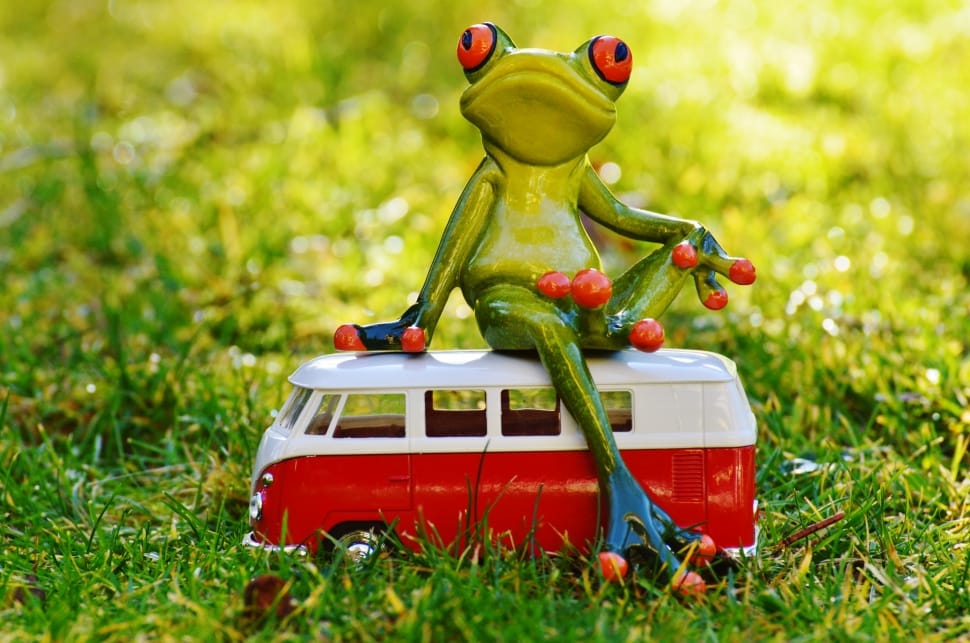 Animal, Bulli, Volkswagen, Cute, Frog, Grass, Toy Preview - Frog On A Bus - HD Wallpaper 
