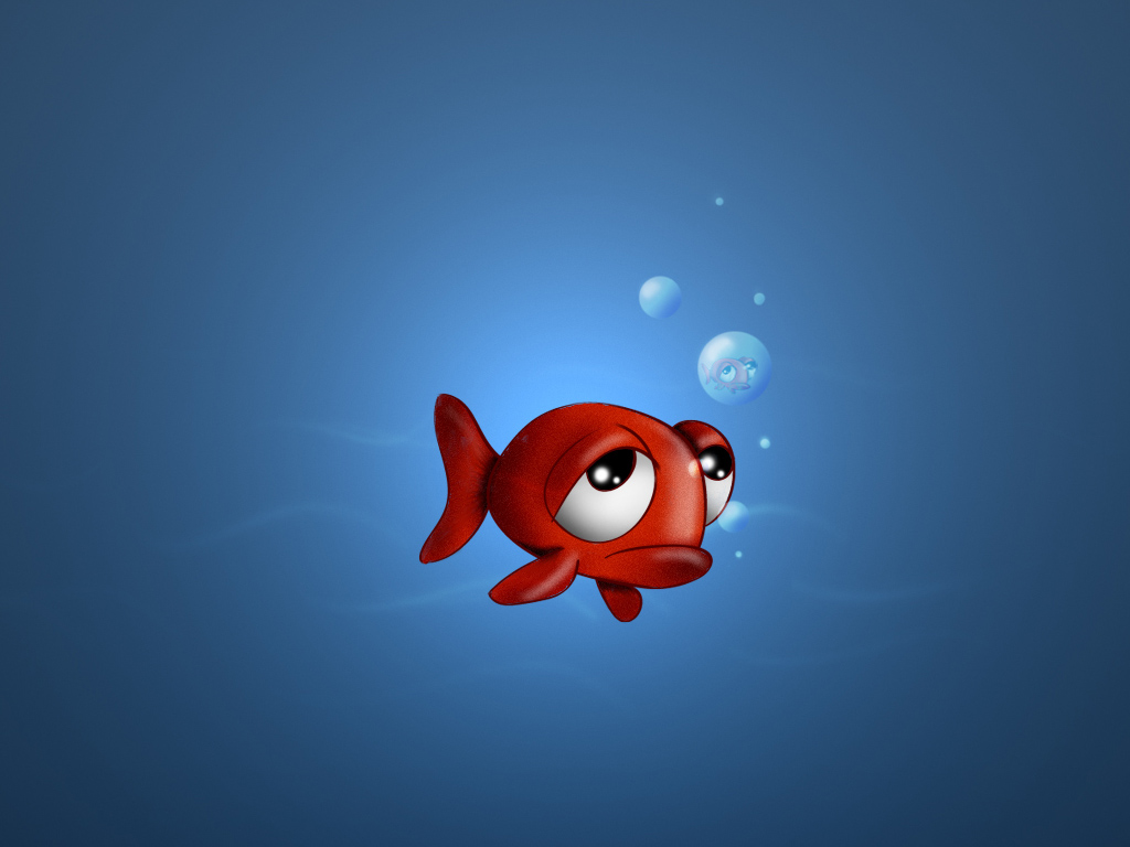 Fond D Écran Poisson Rouge - HD Wallpaper 