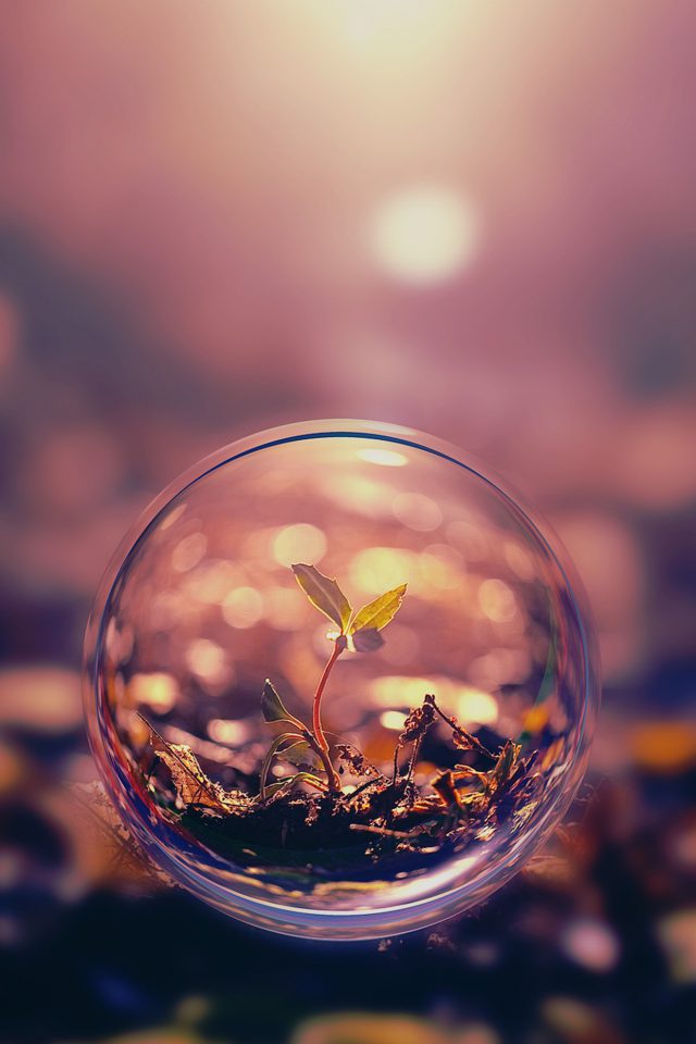 Beautiful Iphone Wallpapers Hd - HD Wallpaper 