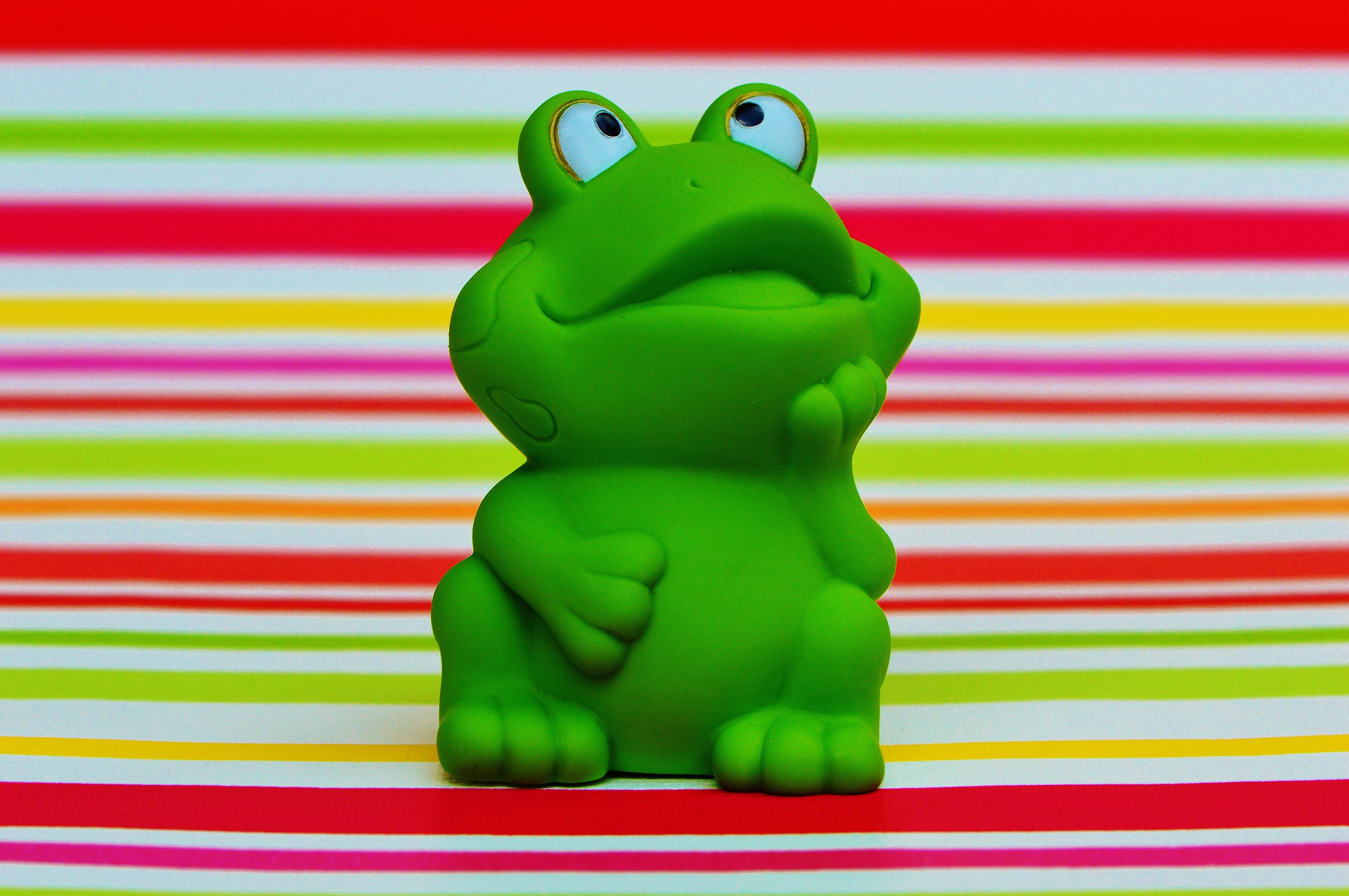 Frog - HD Wallpaper 