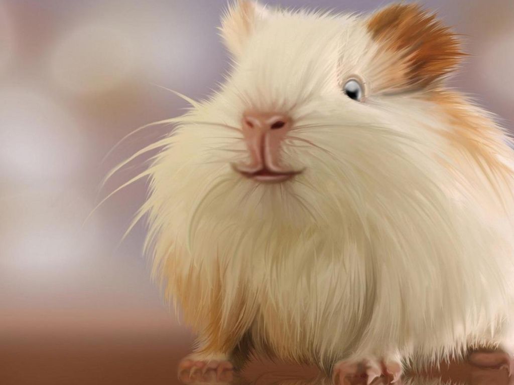 Hamster Wallpaper - Beautiful Mouse - HD Wallpaper 