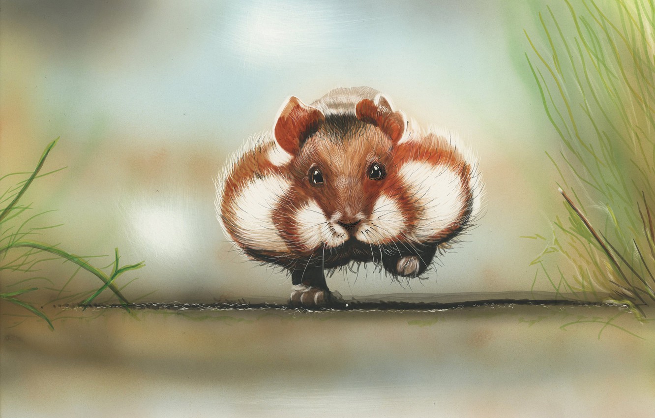 Photo Wallpaper Figure, Hamster, Art, Painting, Rodent, - Арт Хомяк - HD Wallpaper 