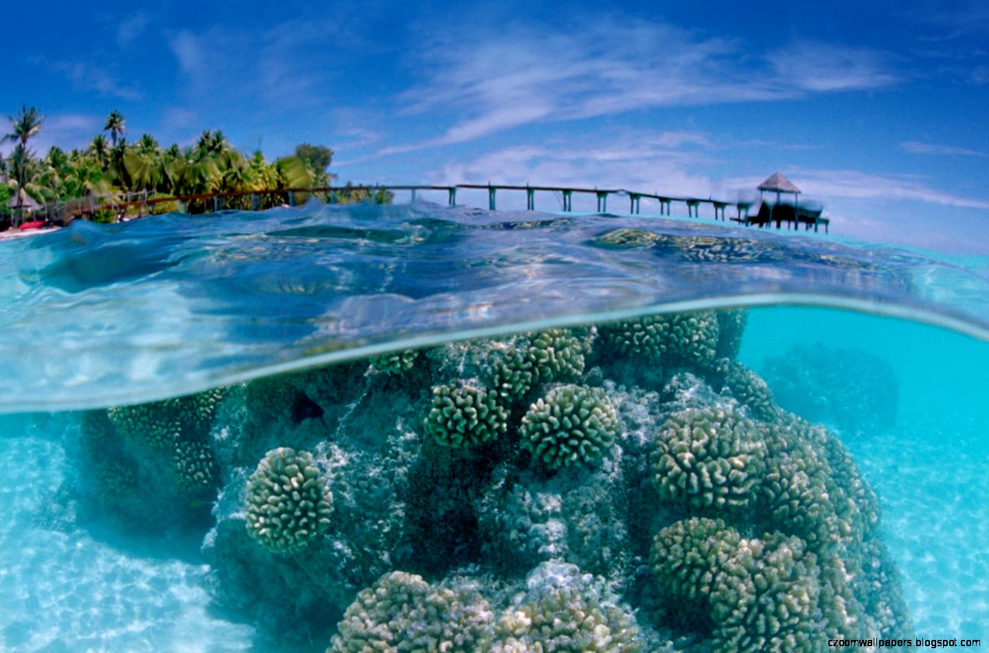 Bing Wallpaper For Desktop Full Hd - HD Wallpaper 
